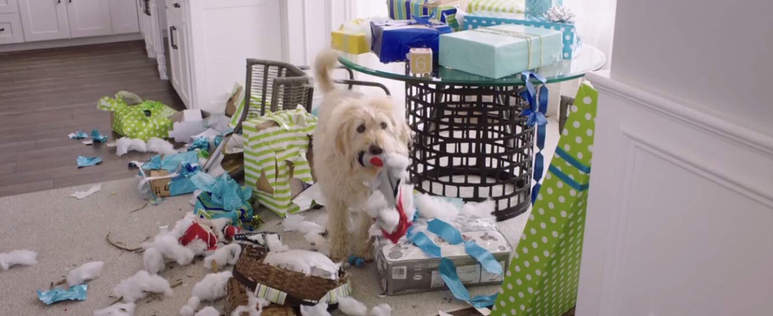 “Dog Days”: Dogged Humans and Adoptable Canines Go Through Their Romantic Comedy Tricks