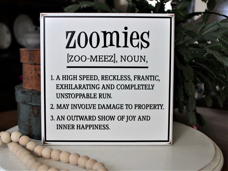 Living With the Zoomies